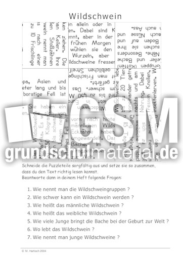 Wildschwein.pdf